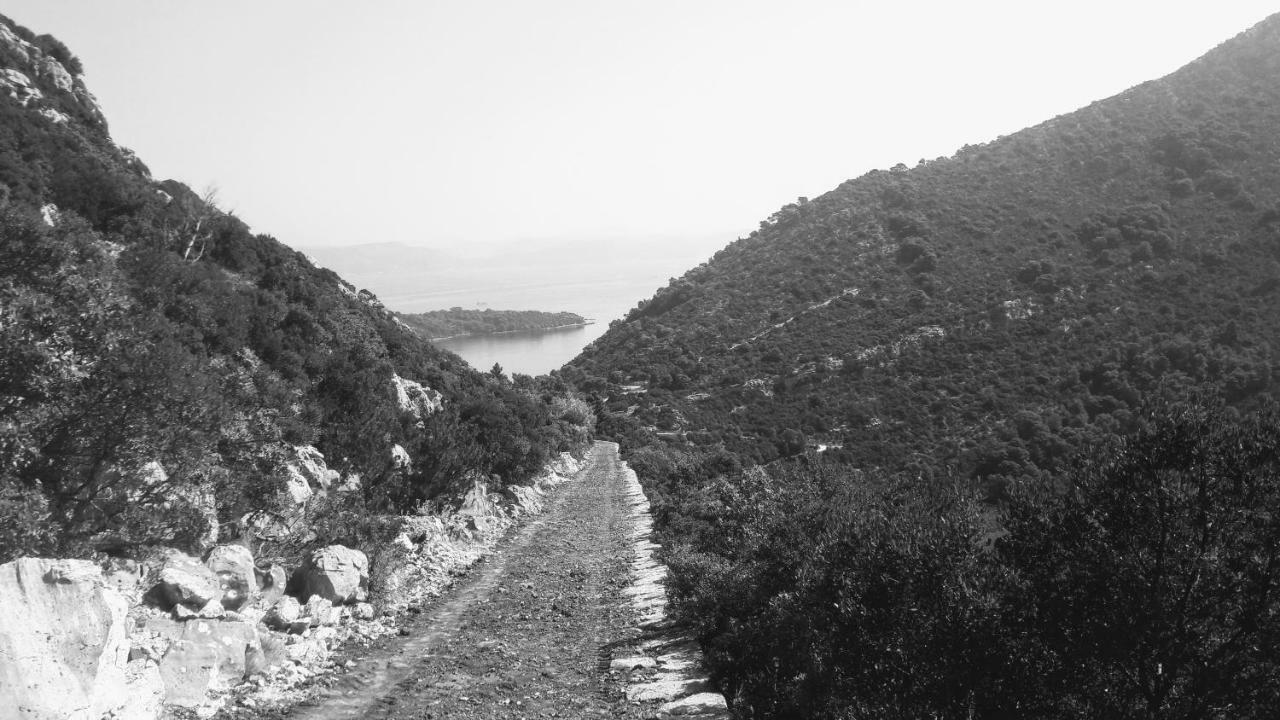 Apartmán Authentic Ap For 2, Babino Polje,Mljet Exteriér fotografie