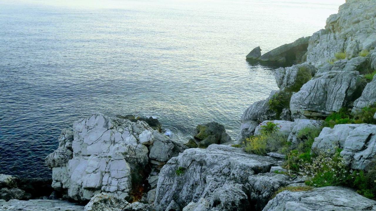 Apartmán Authentic Ap For 2, Babino Polje,Mljet Exteriér fotografie